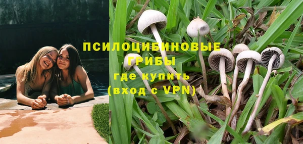 эйфоретик Липки