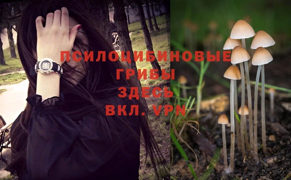 эйфоретик Лиски