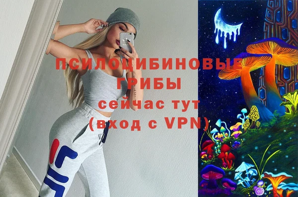 эйфоретик Липки
