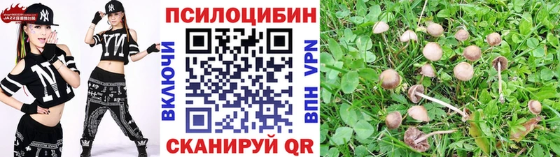 Галлюциногенные грибы GOLDEN TEACHER  Нелидово 